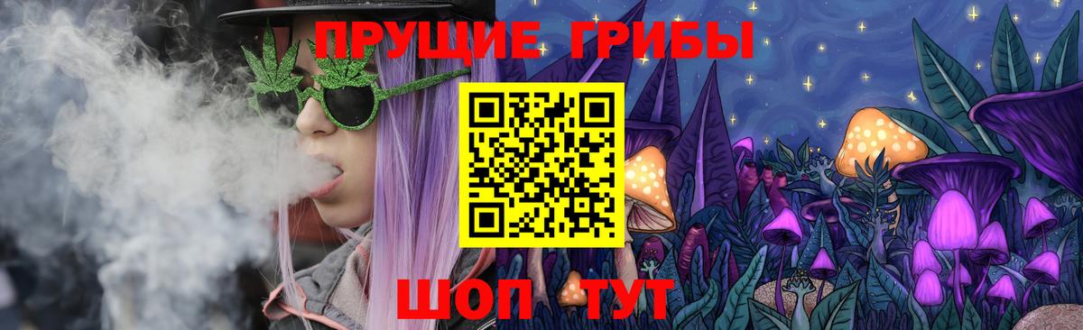 Костомукша  Псилоцибиновые грибы MAGIC MUSHROOMS  Вход с VPN  Галлюциногенные грибы прущие грибы 