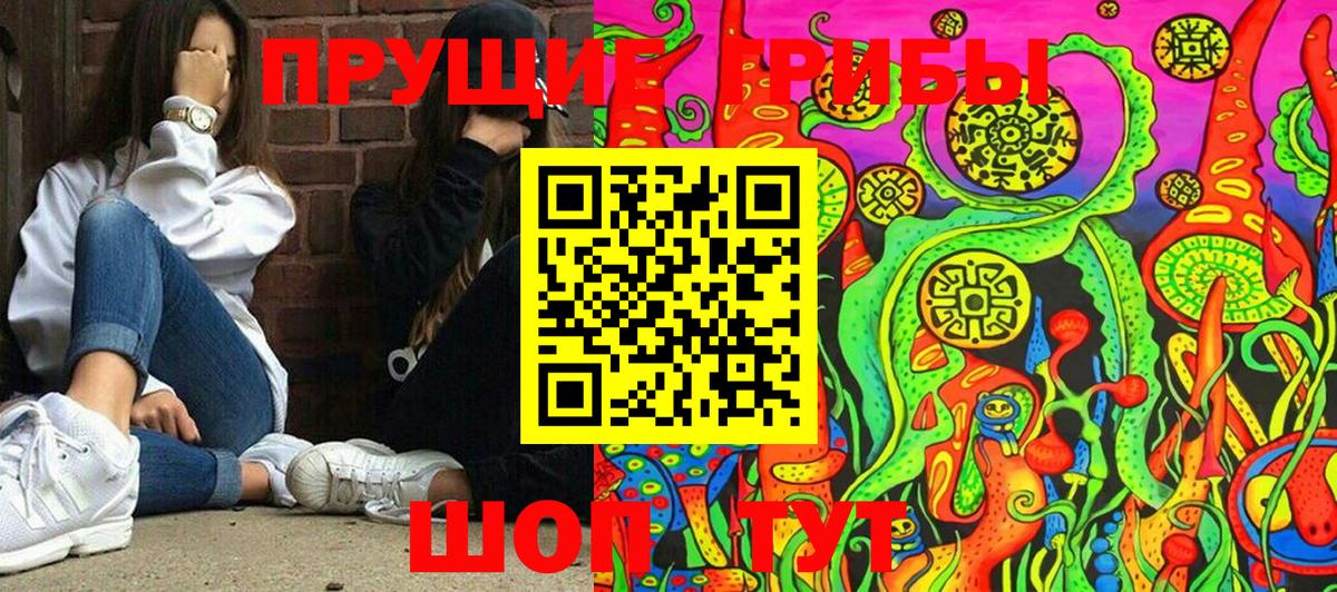 Галлюциногенные грибы Cubensis Костомукша